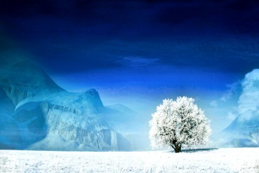 苏州太仓银行个人借款利率揭秘：揭秘低息秘密，轻松贷款无忧