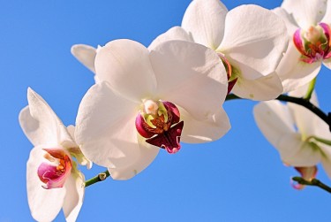 苏州太仓空放急用钱贷款|生意借钱周转|苏州太仓急用钱个人贷款